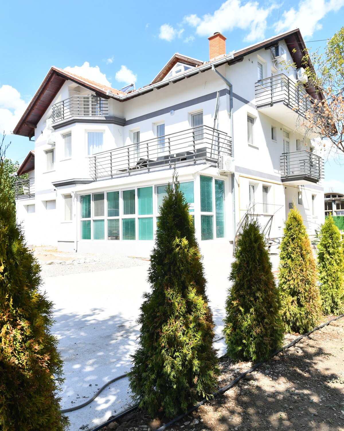 Vila Mile ambijent